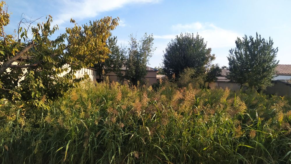 Uy joy sotiladi Qaroquyli MFYda