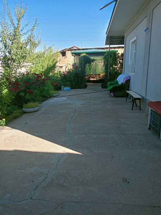 Uchastka 6,5 sotoxli