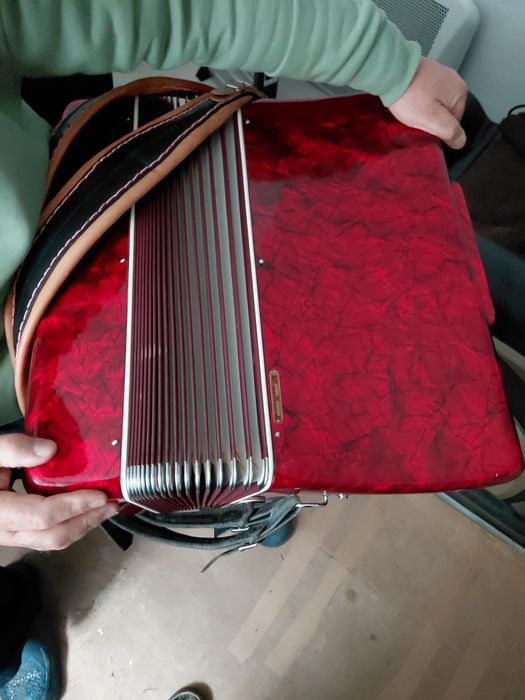 Vand Acordeon Parrot gama profesionala