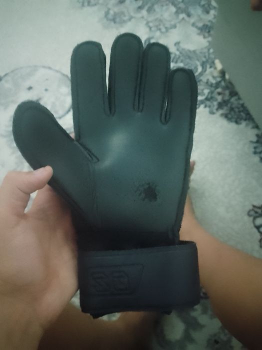 Darvozabon perchatkisi