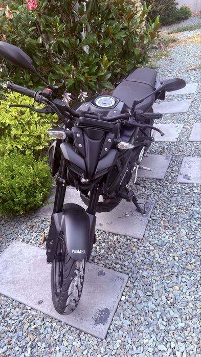 Yamaha mt-125 2024 3900 km