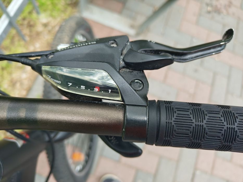 Bicicleta Copii Pegas Drumet 20