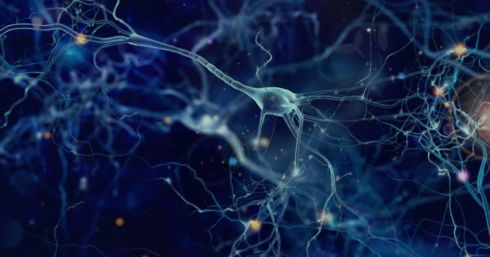 Meditații pentru examenul de bacalaureat biologie și admitere!!!