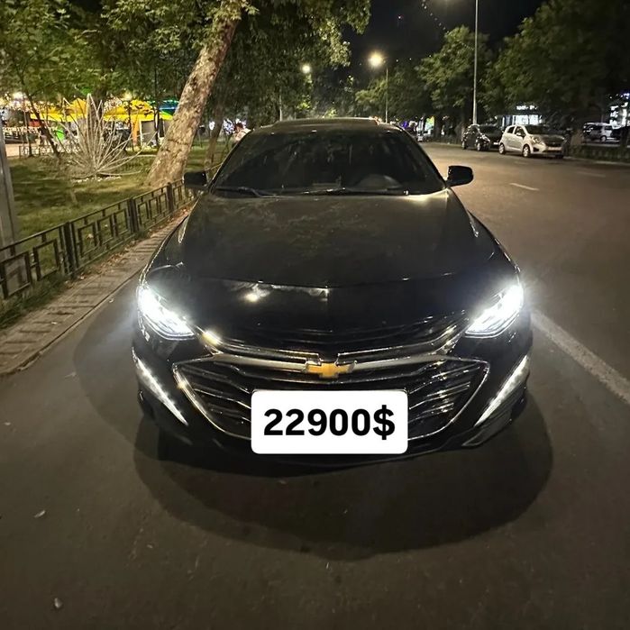 Malibu 2 premier kraska toza