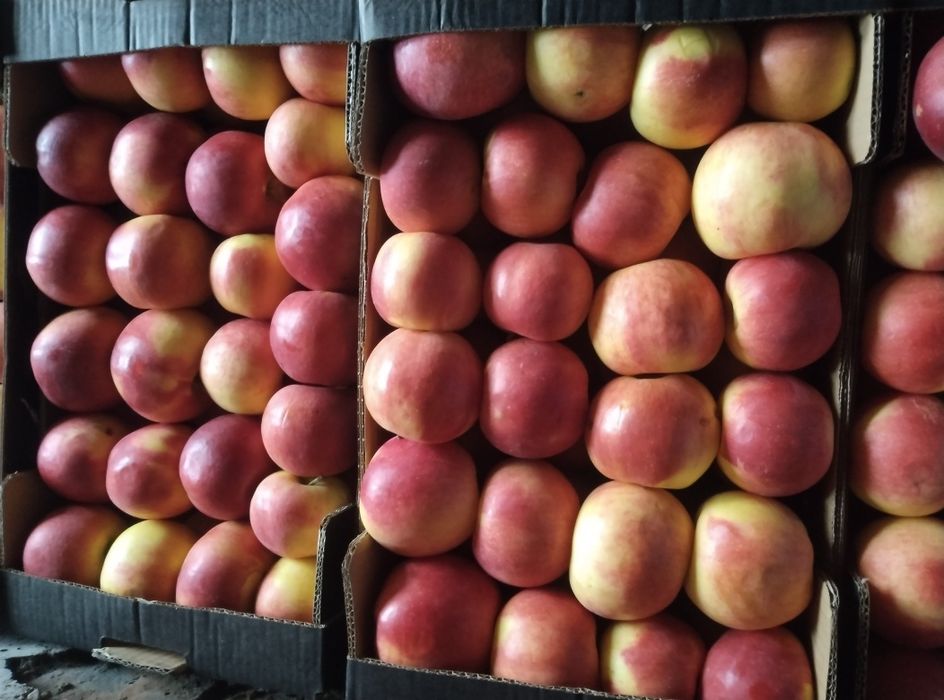 зеленчуци и плодове