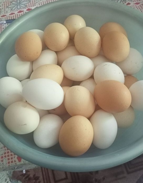 Яйцо куриное домашнее.