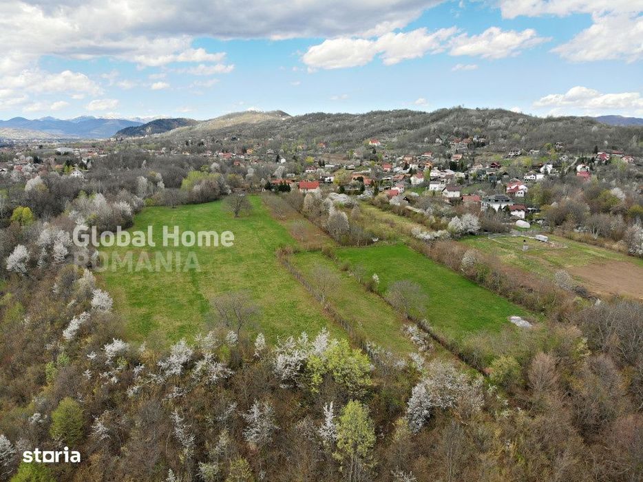 Mountain Plateau - 23.345 SQM - Exclusive Estate | Jud Prahova - Valea