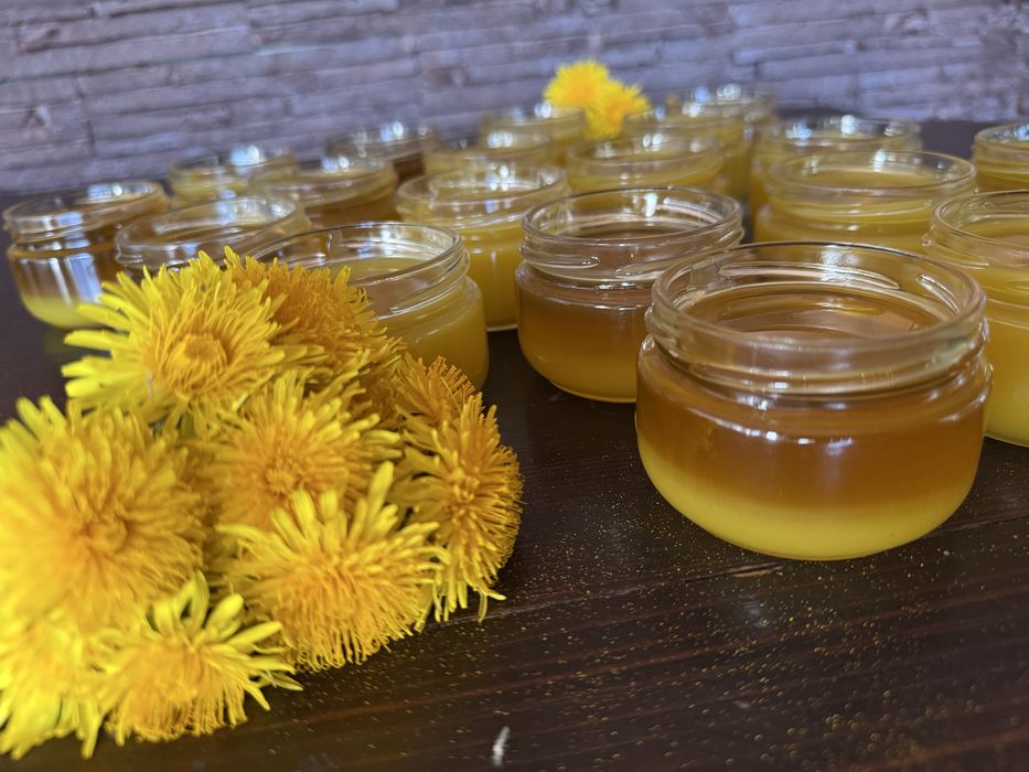 Unguent de păpădie (stoc limitat)