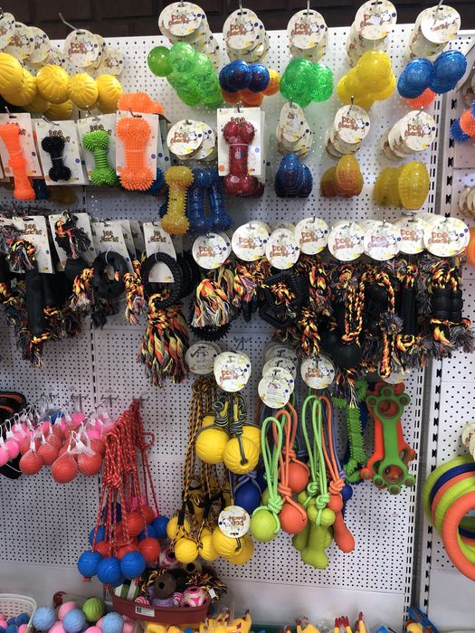 Игрушки куры пищащие для собак