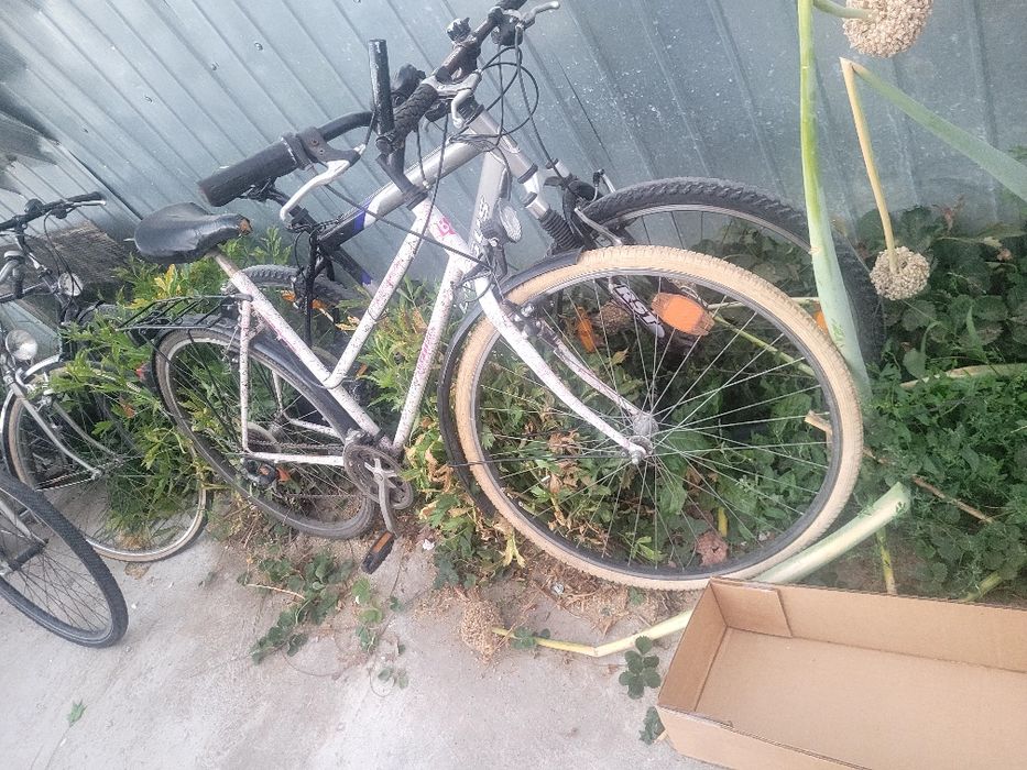 Bicicleta adulți și copii