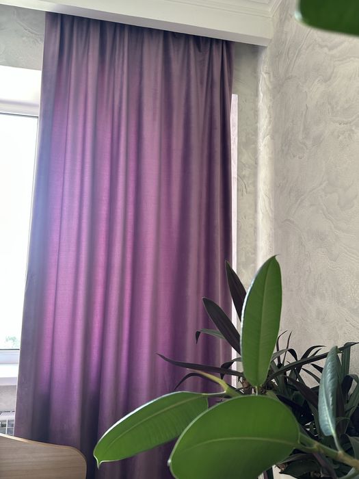 Шторы + ковер не дорого