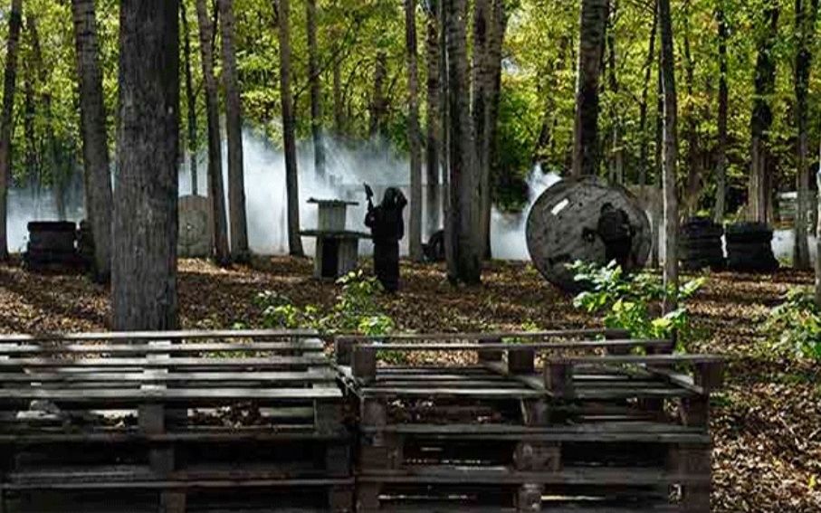 Пинбол на природе