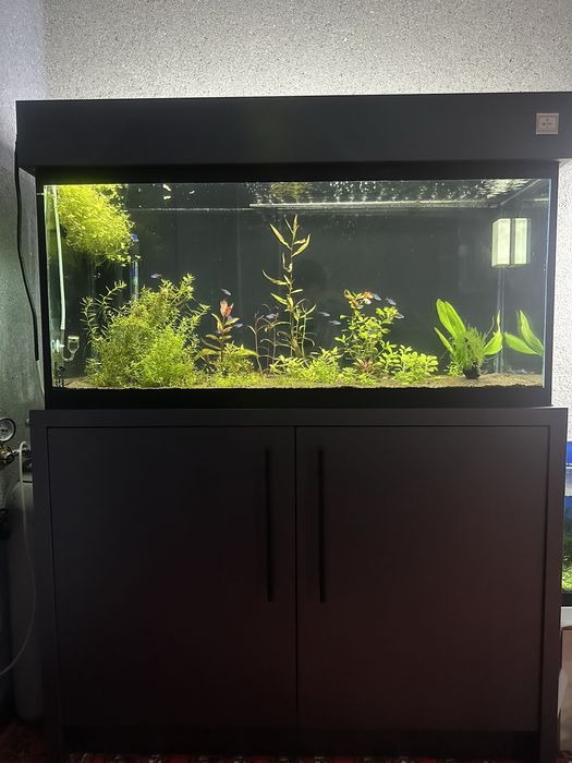 Akvarium yasash xizmati