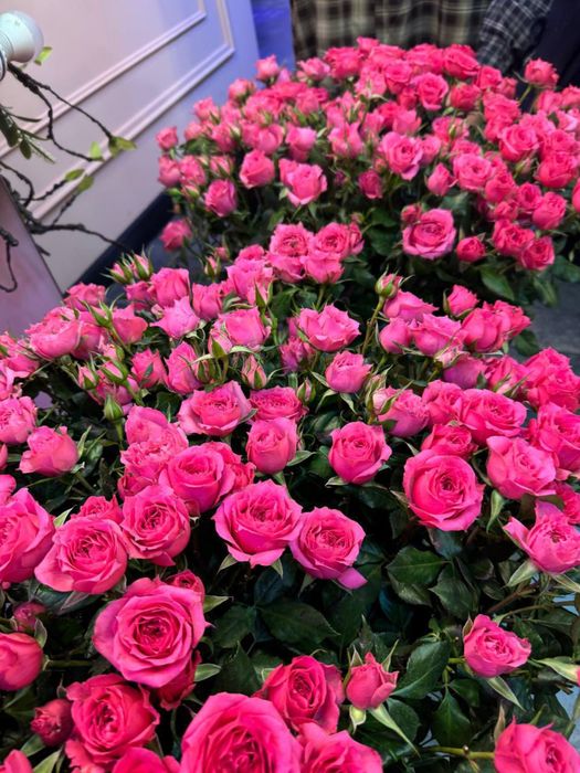 Заказбен букет жасаймыз