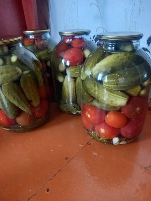 Продам домашние помидоры