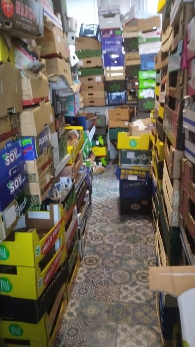 Продавам семена за посев отсладки български тикви кестени и сладки циг