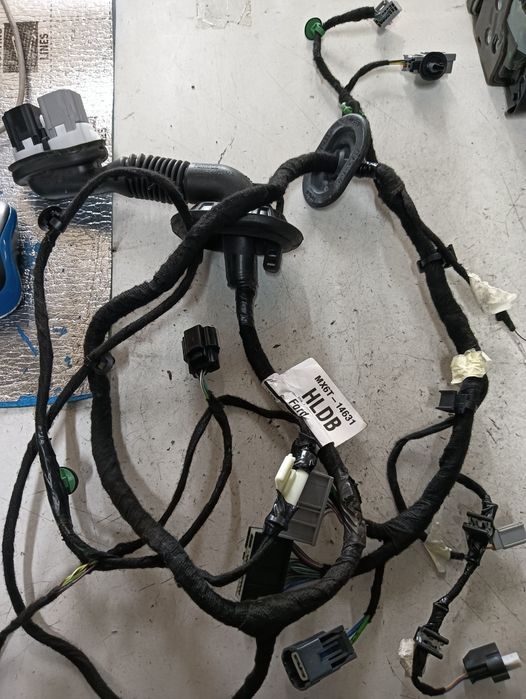 Instalatie Electrica Usa Stanga Fata Ford Focus Iv (Hn) [ 2018 - > ]