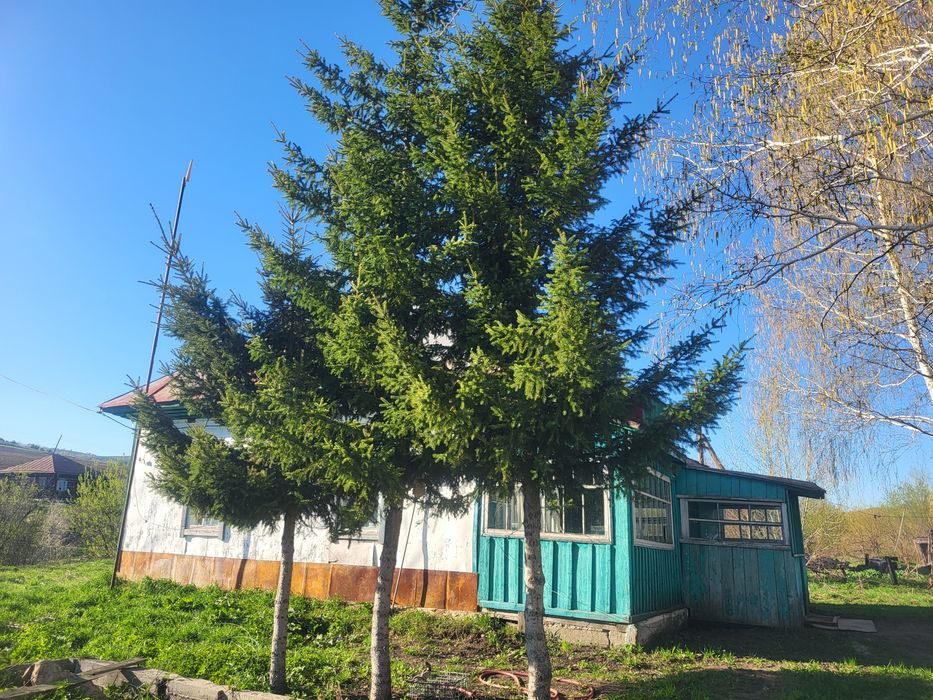 Дом в п.Михайловка
