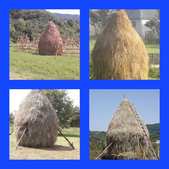 Baloti de ,fan ,otava ,lucerna