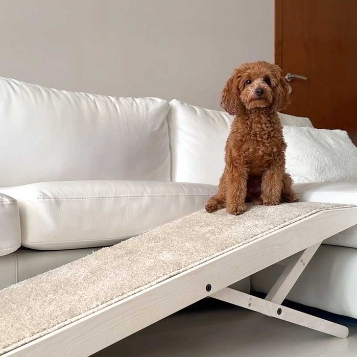 Регулиращи рампи за кучета