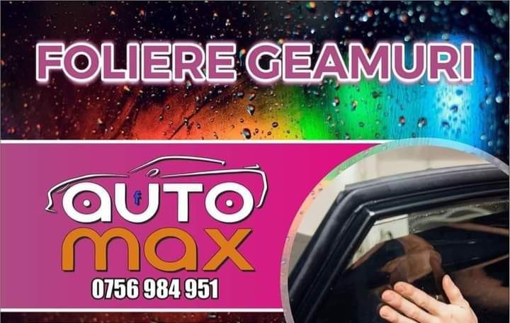 Polish Auto Profesional (AUTO MAX)