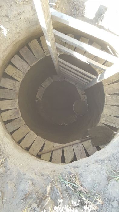 Куза калодис козамиз нархи 1 милион