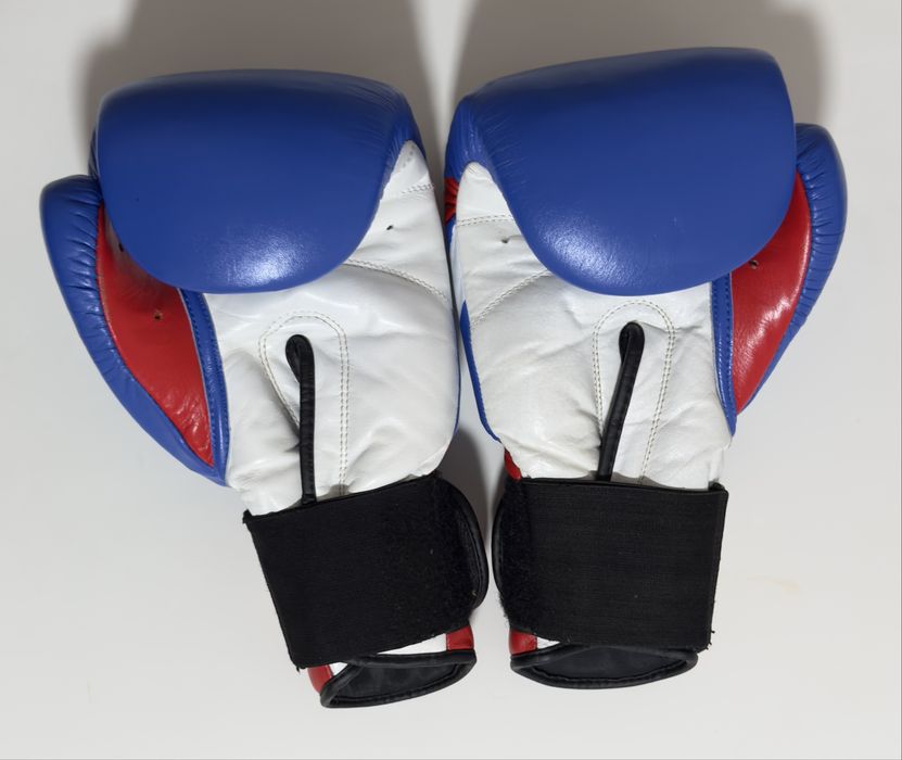 Manusi de box Budo Best Predator