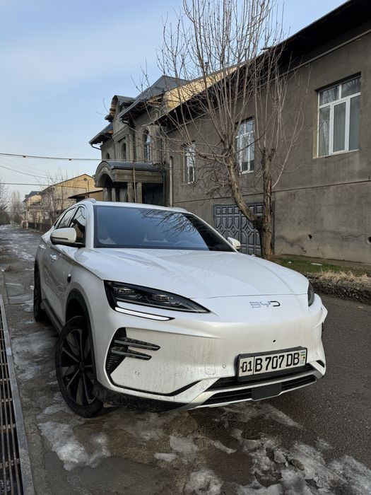 Byd Chempion Smart 2025