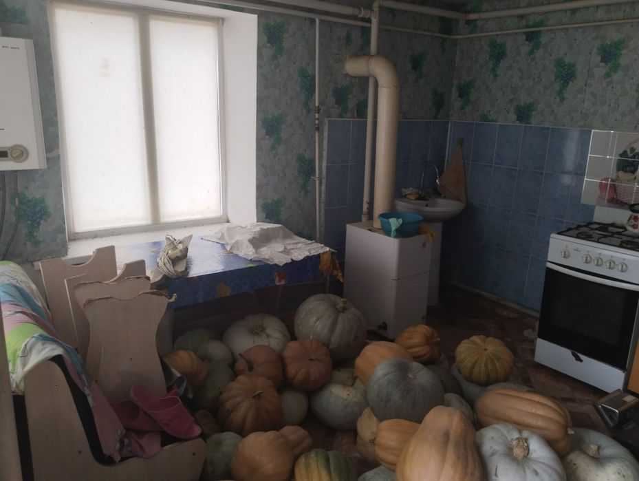 Продам дом в поселке Барбастау. Торг возможен