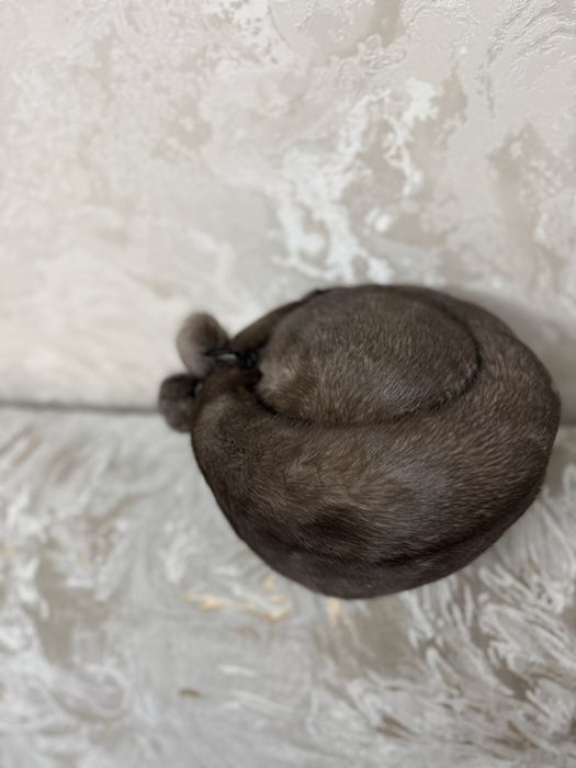 Шапка НОРКА продам