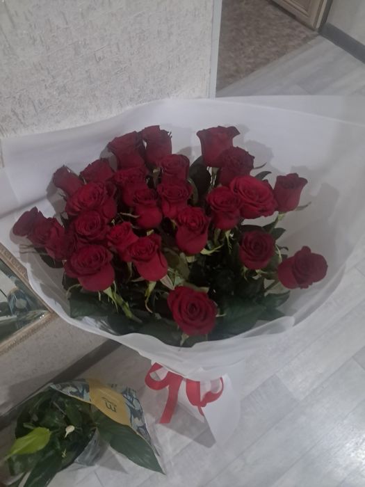 Продам цветы разные