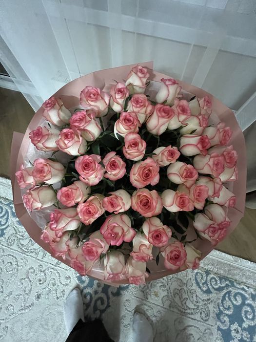 Продаю свежие розы 51