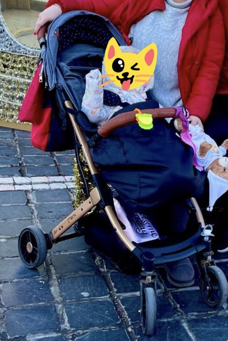 Carut tip troller pliabil pentru avion Momi