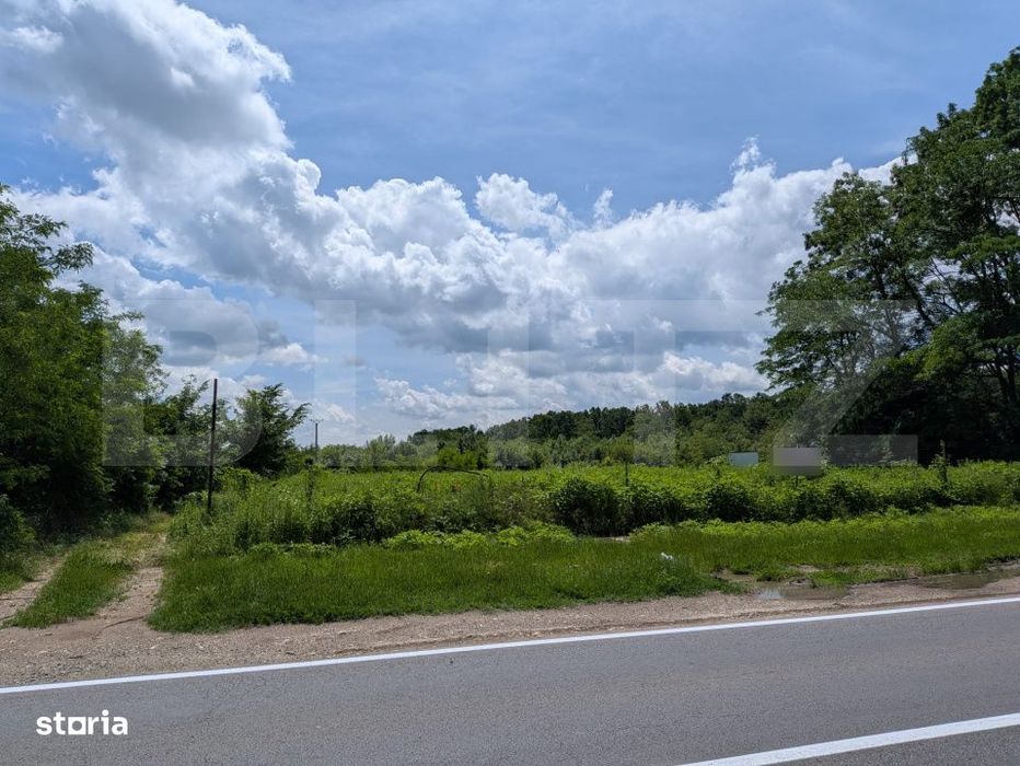 Teren extravilan, 12700 mp, oportunitate de investitie, zona Priseaca