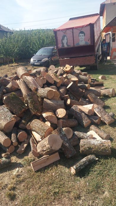 Fag și stejar de vanzare