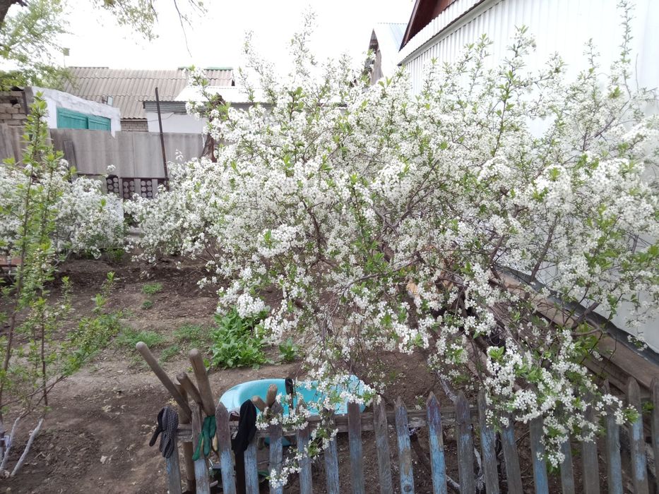 Продам дом 5 комнат 87 КВ м