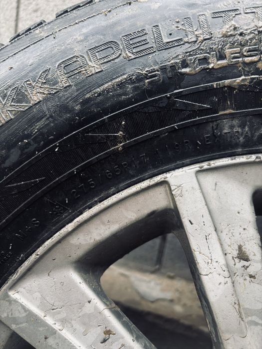 Покрышка R17  TLC 100