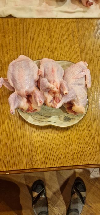 Продам мясо перепелов