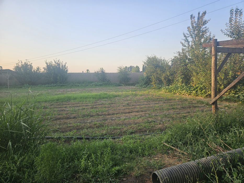 12 sotix atrofi qorgon dakumenti zor