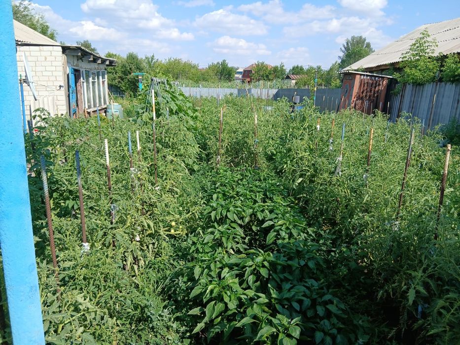 Продам дом на восточном