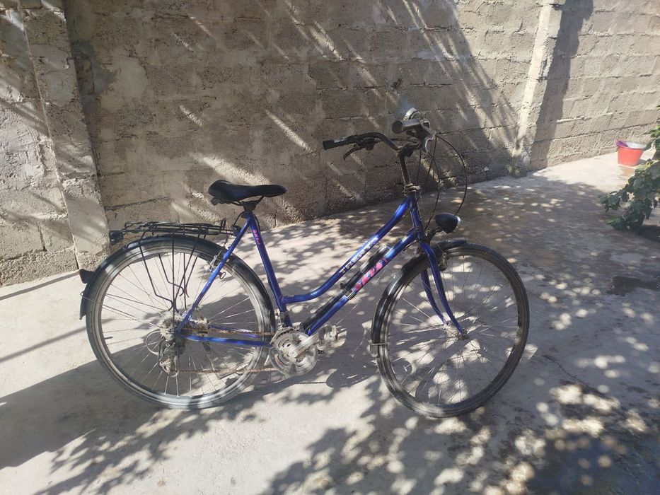 Велик сотилади Голландия