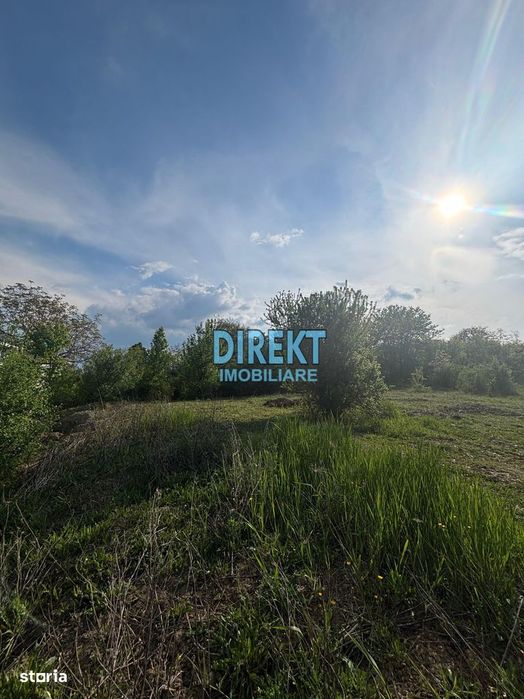 Teren Intravilan Strada Tărpiului