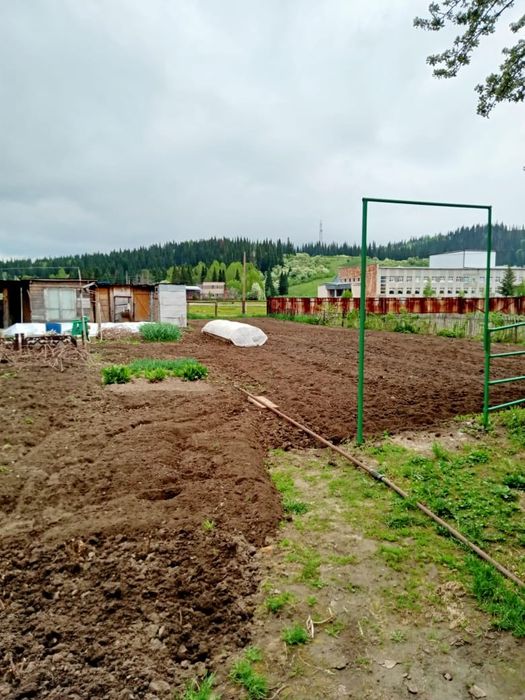 Дом в селе Черемшанка