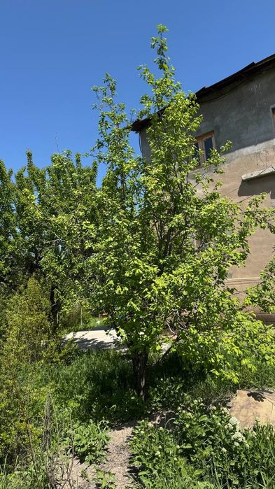 Продаётся Дача !