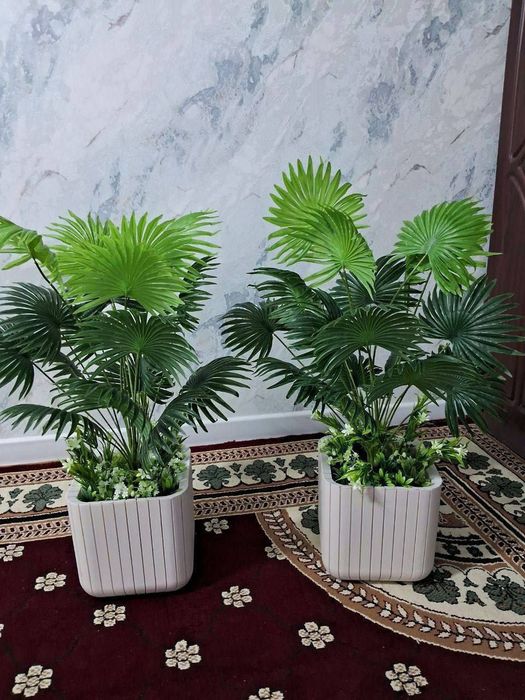 Suniy gullar katta hajimda