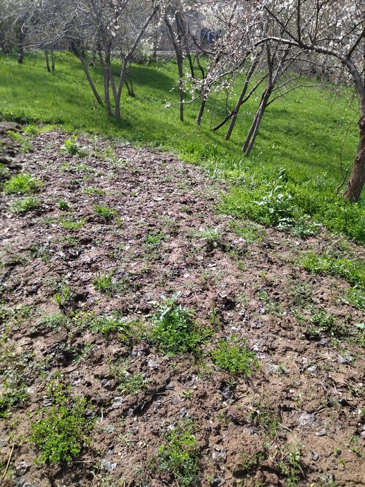 Yer bor srochka sotiladi