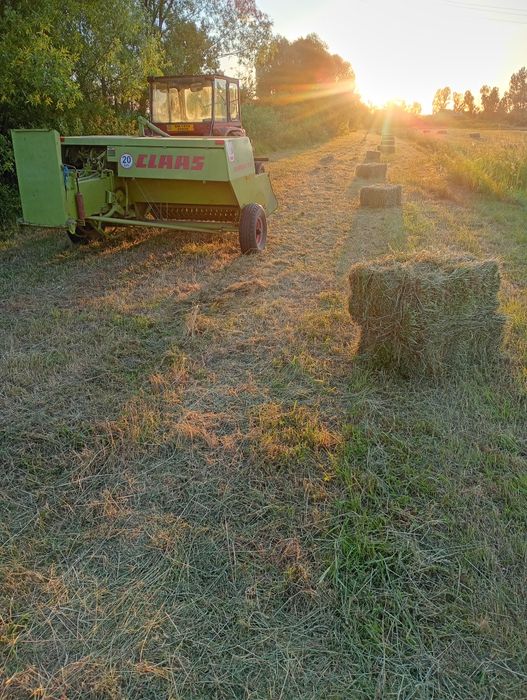 Vând tractor u445