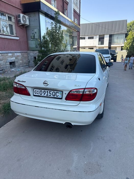 Nisan maksima toza