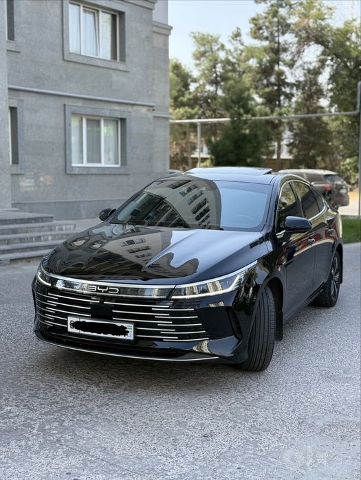 2025 4 poz chazor bitta detalda bor