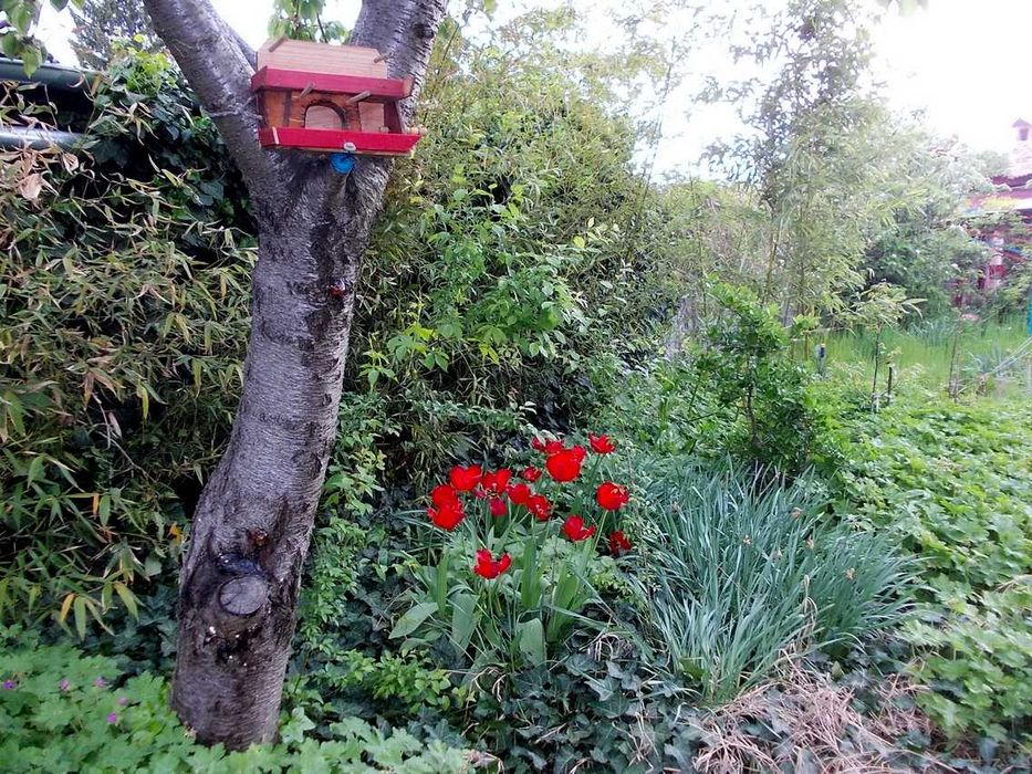 Продава се Къща в с. Юнаците, Област Пазарджик - 110 кв.м за 673 €/кв.м - Снимка #17